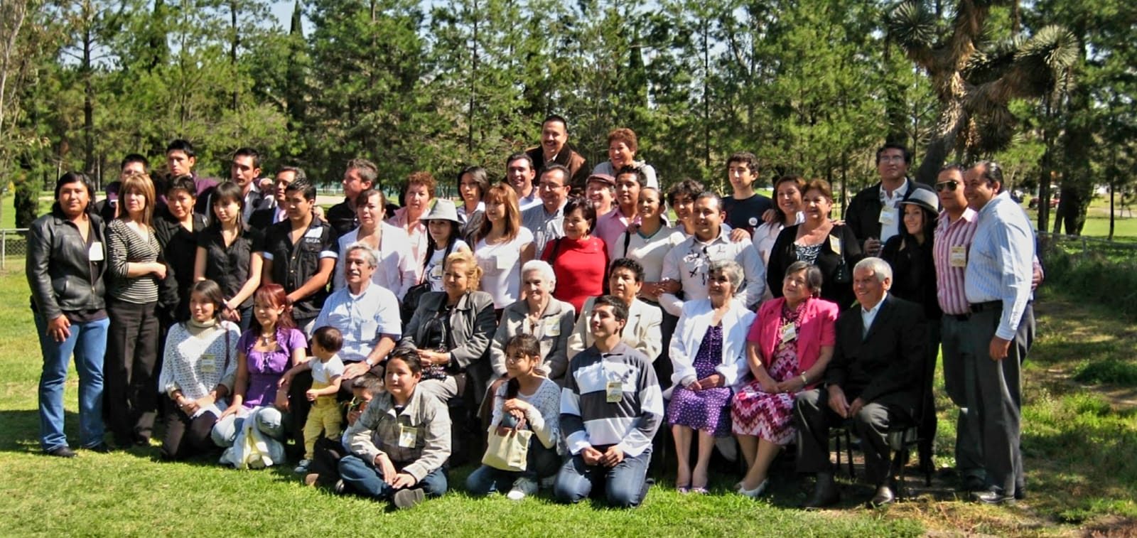 Núcleo de Joseph Straffon 2008